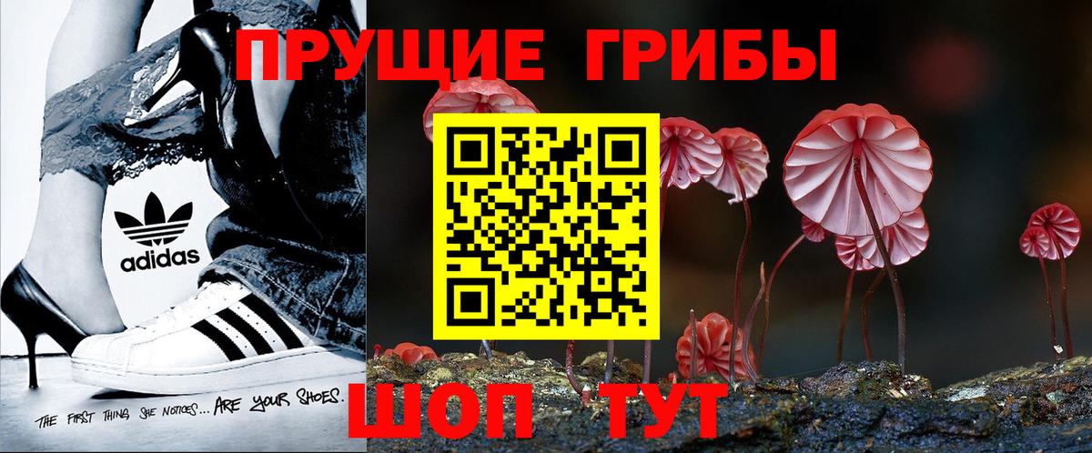 Псилоцибиновые грибы ЛСД  Вход с VPN  Алушта 