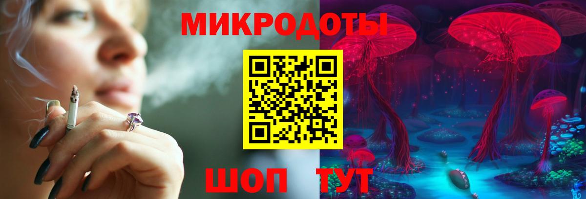 Псилоцибиновые грибы Psilocybine cubensis Алушта